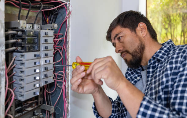 Best Electric Panel Repair  in Neptune Beach, FL